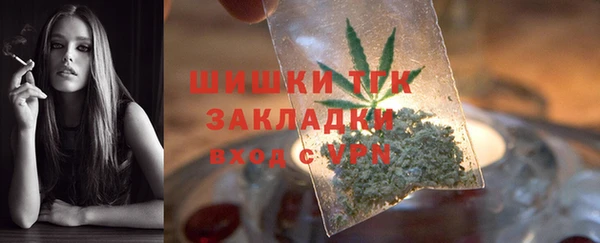 спиды Анива