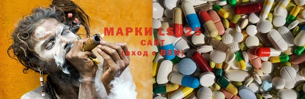 ПСИЛОЦИБИНОВЫЕ ГРИБЫ Бугульма