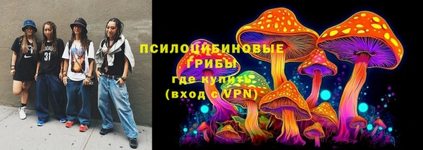 МДПВ Богородицк